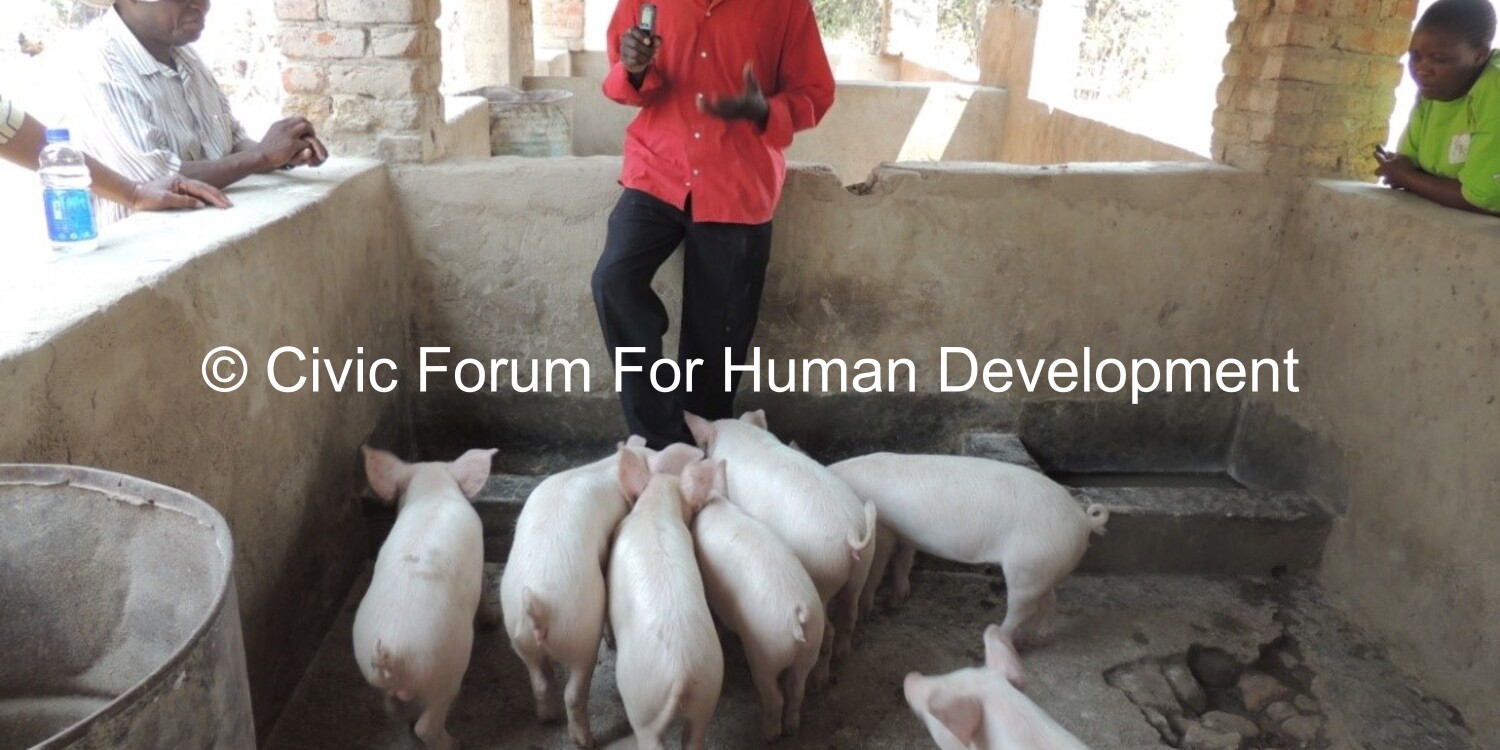 Promoting Peace for Sustainable Development in Rural Districts Councils of Zimbabwe